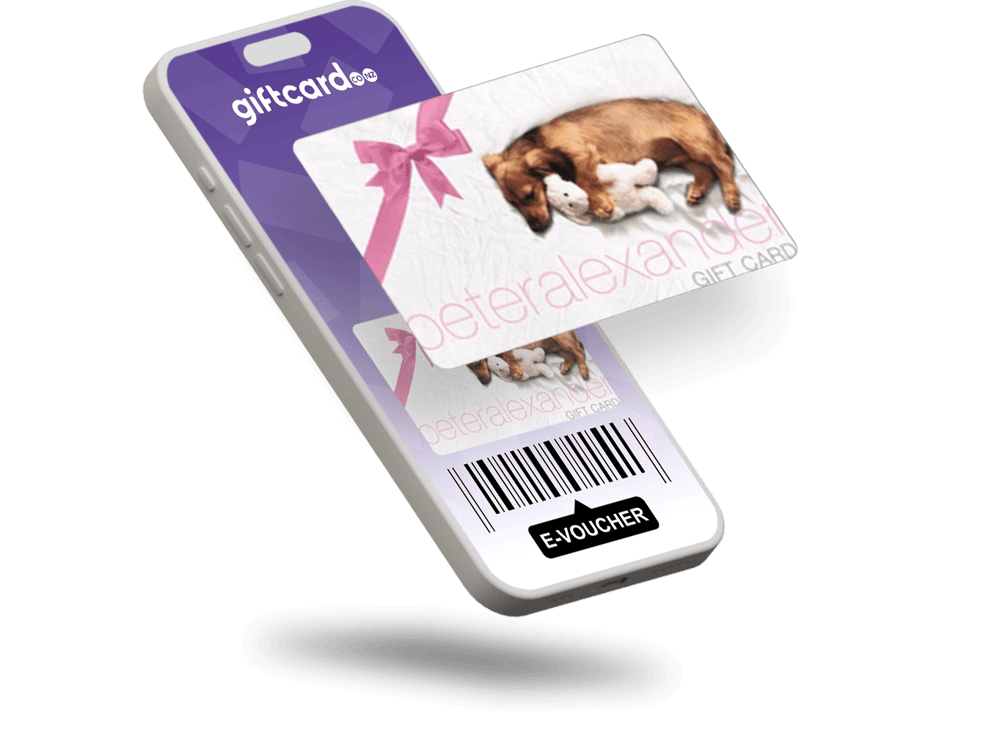 E-voucher